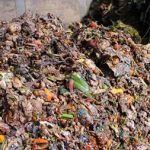 Crowdfunding appeal launched to fund legal challenge on mandatory food waste reporting backtrack