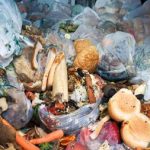 Food waste victory as government u-turns on mandatory reporting again